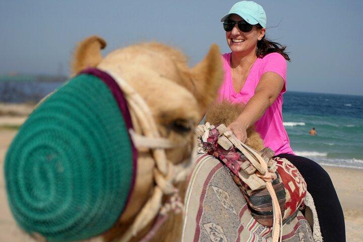 Camel ride & Quad cykel Erfaring i sandstrand Qatar