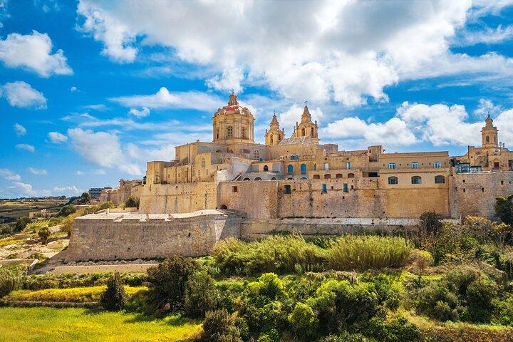 Heldagstur till Malta