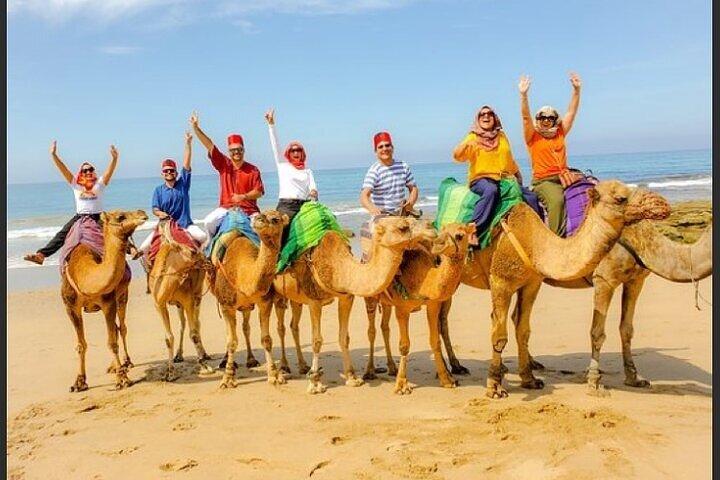 Authentische private Tanger-Tour ab Estepona, Kamelritt und Mittagessen