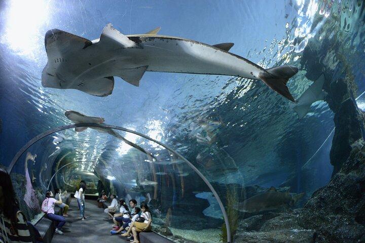 De Banguecoque: Guia de exploração de Pattaya