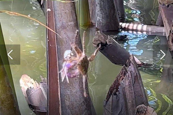 ココナッツバスケットボートツアー - ホイアンで絶対に体験すべきこと！