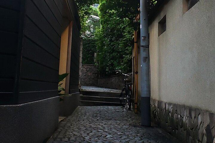 Tokyo Private Art Tour i Kagurazaka Shinjuku med licensierad guide