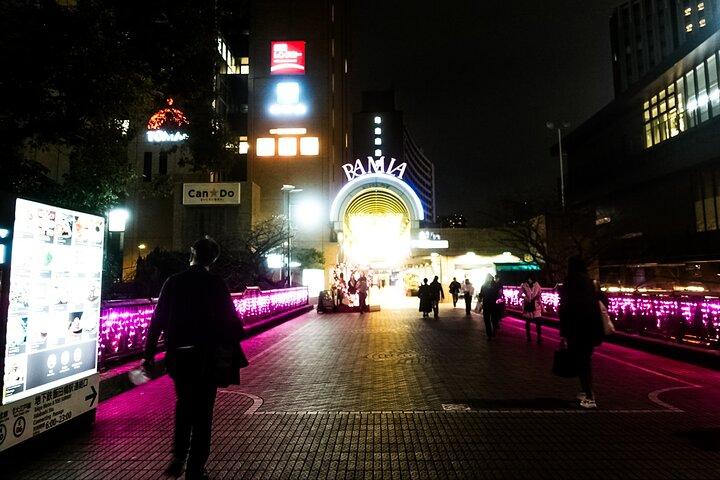 Tokyo Private Art Tour i Kagurazaka Shinjuku med licensierad guide