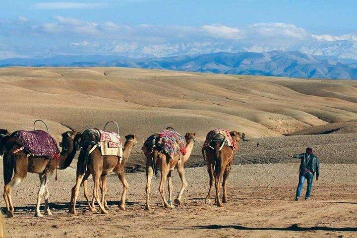 Agafay Desert Sunset Dinner & Camel Ride