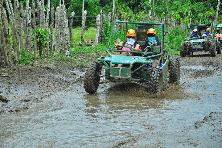 5 turer i 1 (Eco Farm/Häst/Stadstur/Buggy/Zipline)