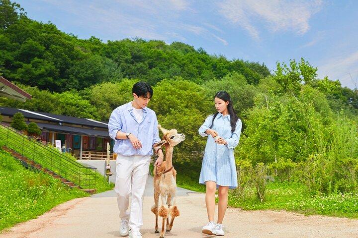 Alpaca World e Gangchon Rail Bike Day da Seul