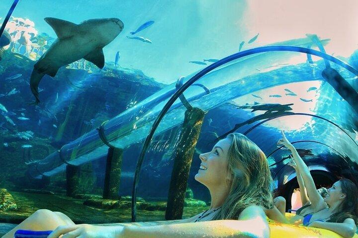 Siam Park Teneriffa Schnelleinstieg Tickets