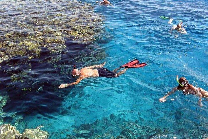 Hele dag Marsa Mubarak Snorkelen & Lunch & Transfer : Marsa Alam