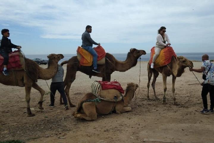 Tangier Camel Ride On The Beach