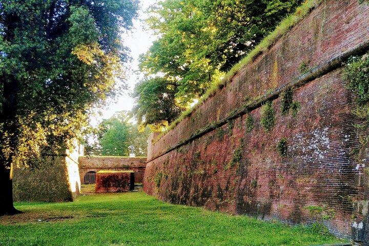Lucca e excursão privada opcional com degustação de vinhos saindo do porto de Livorno