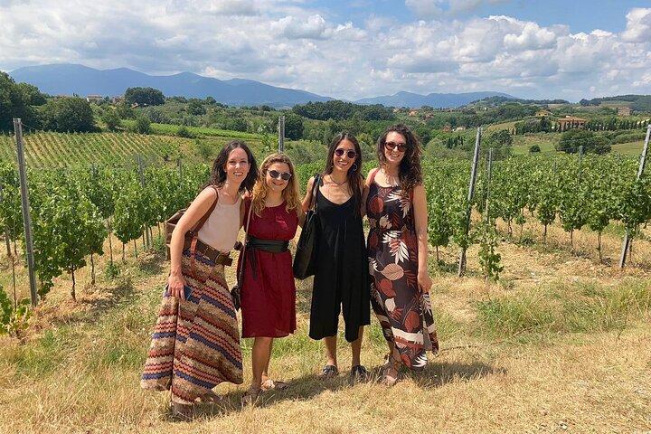 Lucca e excursão privada opcional com degustação de vinhos saindo do porto de Livorno