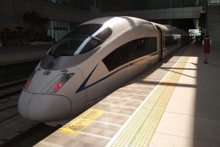 Trasferimento privato: stazioni ferroviarie (Tianjin / Tanggu) fino al porto da crociera di Tianjin