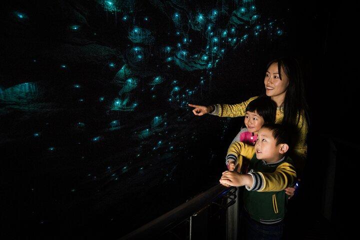 Tour de un día de Auckland a Waitomo Glowworms, Kiwi House y Blue Springs