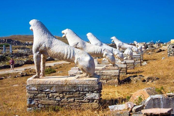 Halvdagstur i Delos i Mykonos från kryssningshamnen