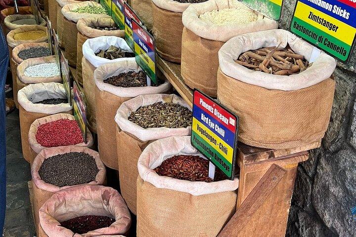 Northern Mauritius Private Tour at Port Louis Market and Beaches