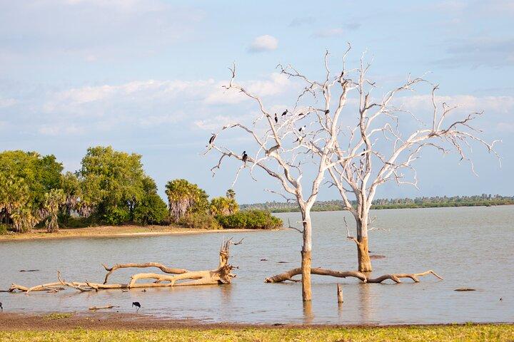 Privat 2-dages Selous (Nyerere) Safari-tur fra Dar es Salaam