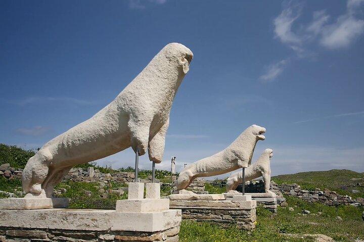 Halvdagstur i Delos i Mykonos från kryssningshamnen