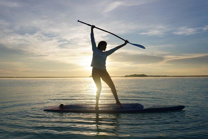 Remar ao Amanhecer com visita a Cenotes e Ilhas