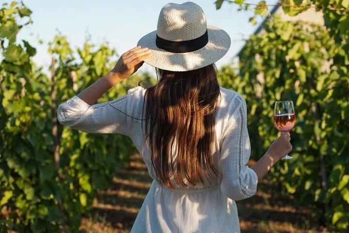 Vinprovning & Vineyards Escape i nærheden af Tirana