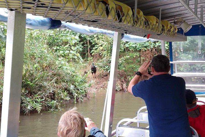 Mossman Gorge Daintree Experience Small Groups