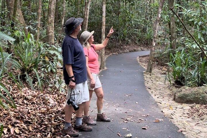 Mossman Gorge Daintree Experience Grupos pequeños