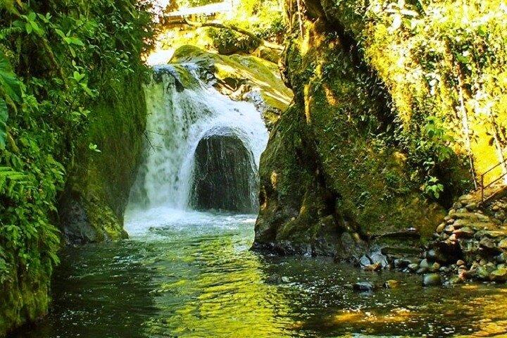 Día Completo de Aventuras en el Área de Mindo