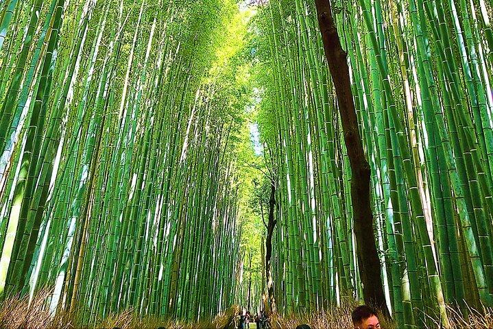 京都フルコースツアー：必見スポット＆隠れた名所10選