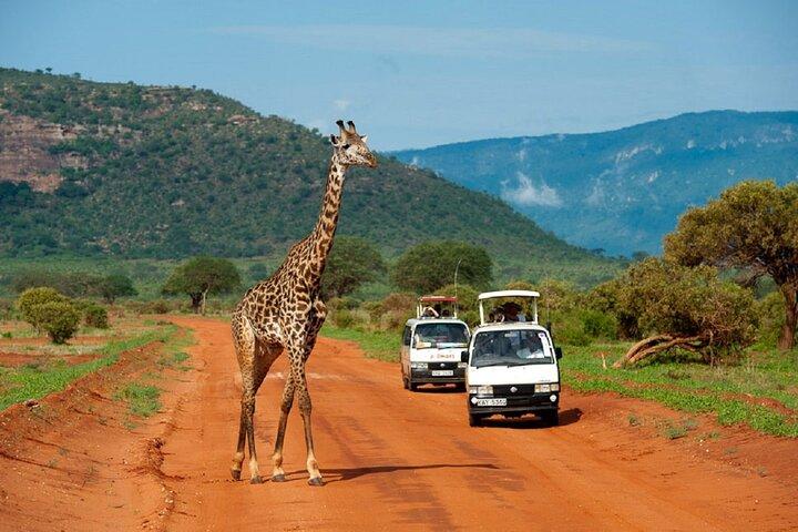 5 Days Safari to Tsavo West, Amboseli and Tsavo East from Mombasa