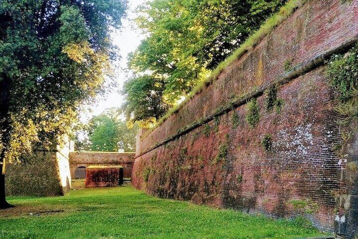 Pisa, Lucca e pranzo in un'azienda vinicola toscana della Spezia