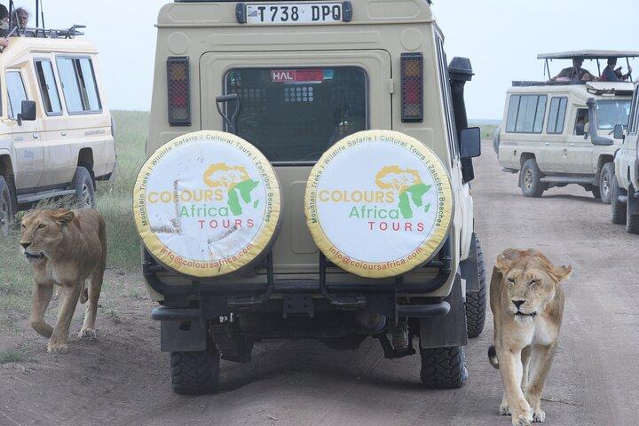 5-Day Luxury Fly-In Serengeti & Ngorongoro Safari from Zanzibar
