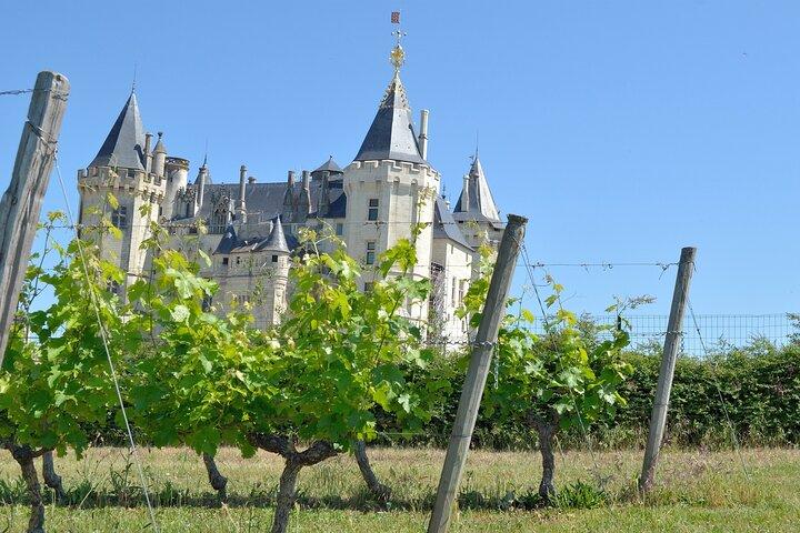 Loire Valley Vin Halvdagstur i Vouvray