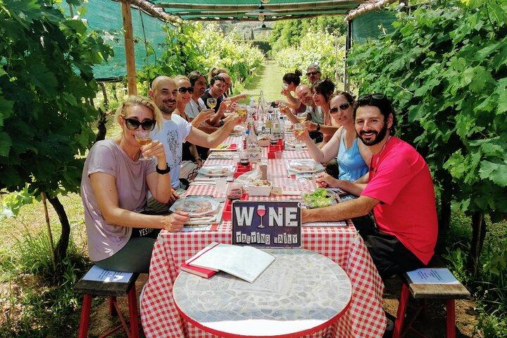 Visite guidée en vélo électrique avec dégustation de vins au départ de Lucques