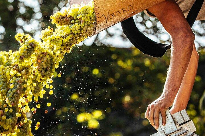Loire Valley Vin Halvdagstur i Vouvray
