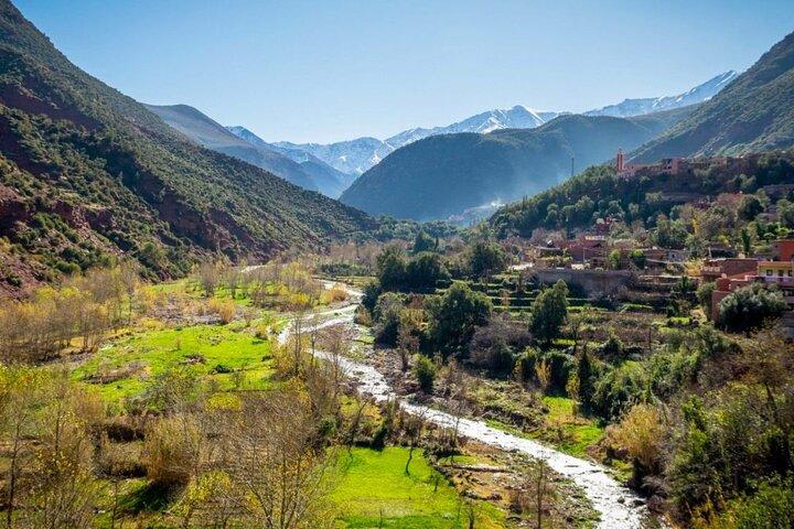 Private Full Day Tour in Ourika Valley
