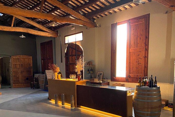 Wine-tasting tour: transfer with lunch (optional)