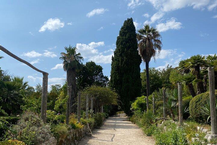 Private Game of Thrones-Tour mit King's Landing Garden