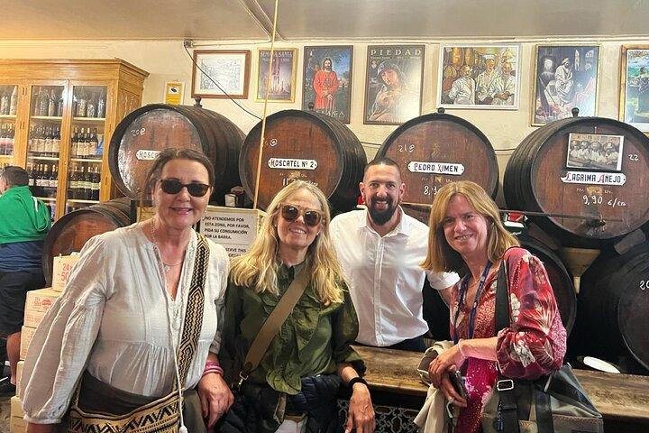 Private Tagestour in Malaga mit Hotel oder Landabholung von Marbella