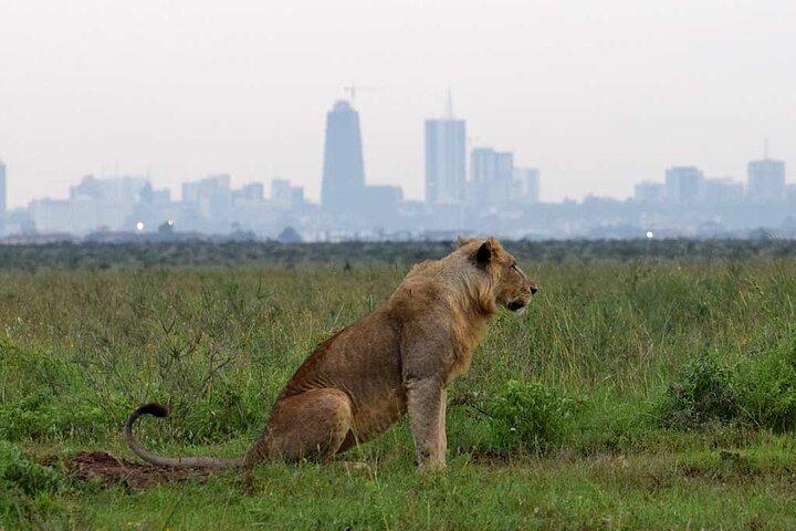 Nairobi Park und Giraffe Center Halbtagestour