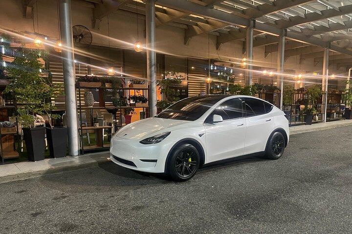Transfer i Tesla fra SDQ Lufthavn til Santo Domingo