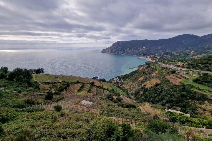 Cinque Terre e Pisa Limousine service da Firenze 12 ore