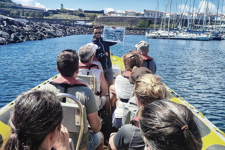 Observation de baleines et de dauphins sur l'île Terceira