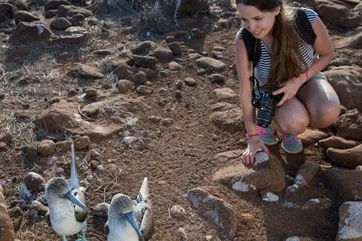 Galapagos - Schnorcheltour durch die Wildnis von North Seymour Island + Mittagessen
