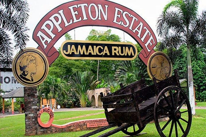 Privat Black River og Appleton Rum-tur fra Negril