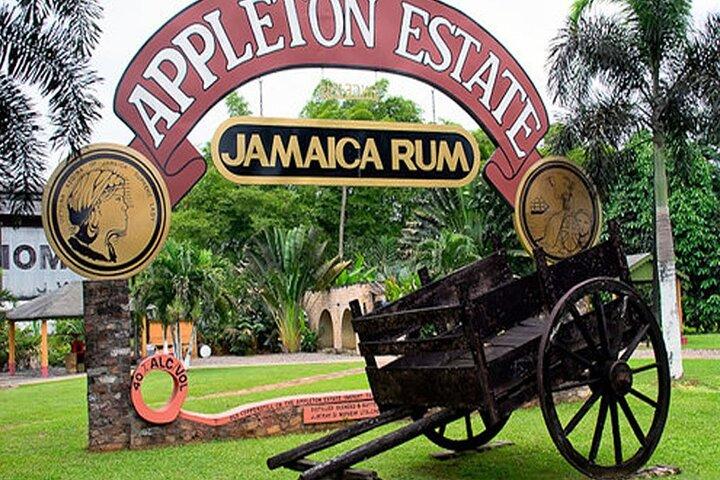 Private Black River- und Appleton-Rum-Tour ab Negril