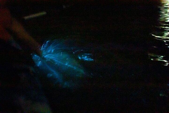 カヤックによるパケラ生物発光ツアー