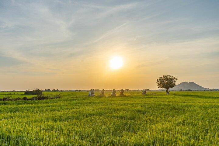 Siem Reap Countryside Sunset Vespa Tour / Tuk Tuk Available