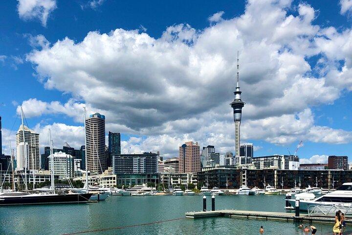 オークランド市のハイライトと隠れた名所を巡る半日ツアー