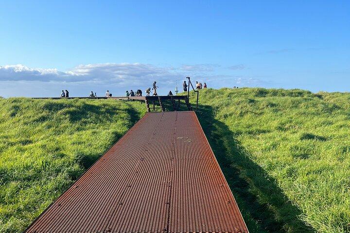 オークランド市のハイライトと隠れた名所を巡る半日ツアー