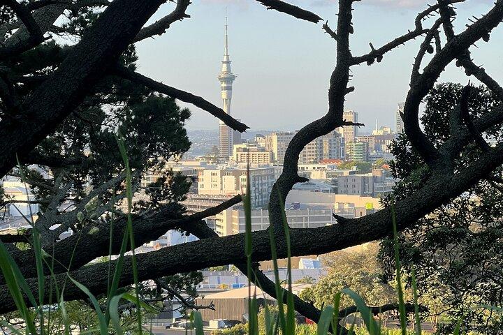 オークランド市のハイライトと隠れた名所を巡る半日ツアー