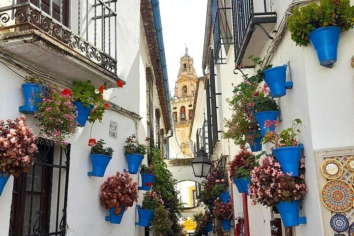 Private Tour in Córdoba mit Abholung vom Hotel oder Land an der Costa del Sol